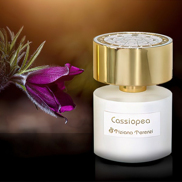 Cassiopea-04s-600x600